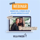 Flyer gratis webinar Villa Pinedo